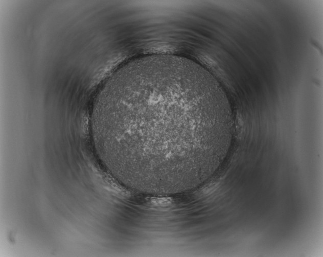 X0000100490355200806271242