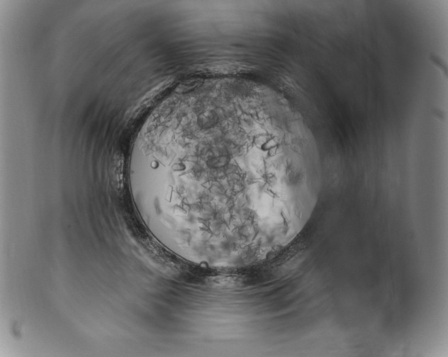 X0000100490356200806271242