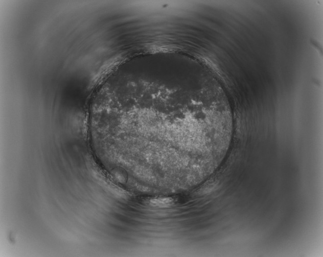 X0000100490357200806271242