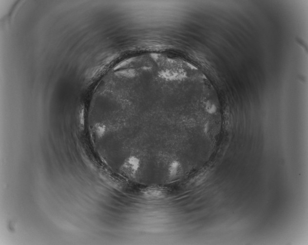 X0000100490358200806271242