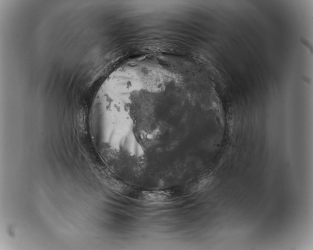 X0000100490359200806271242