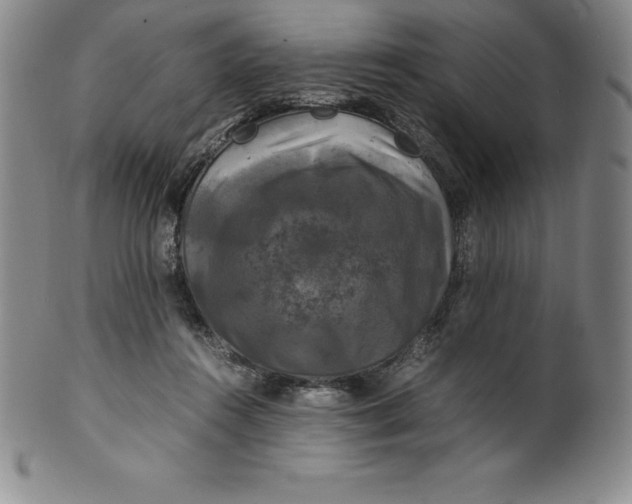 X0000100490360200806271242