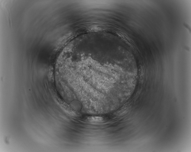 X0000100490361200806271242