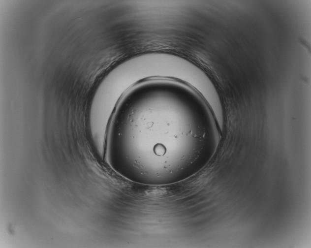 X0000100490362200806271242