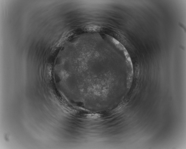 X0000100490363200806271242