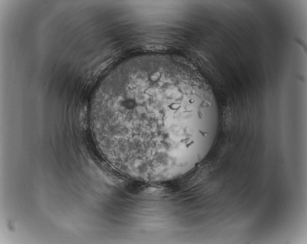 X0000100490364200806271242