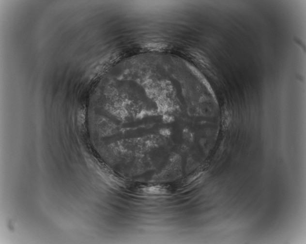 X0000100490365200806271242