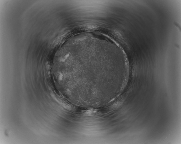 X0000100490366200806271242