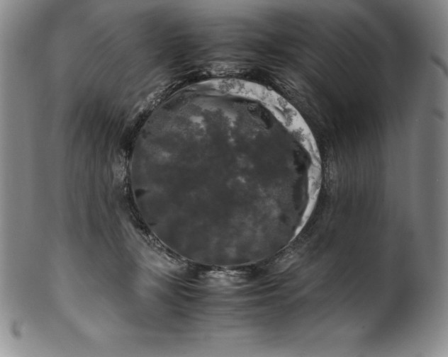 X0000100490367200806271242