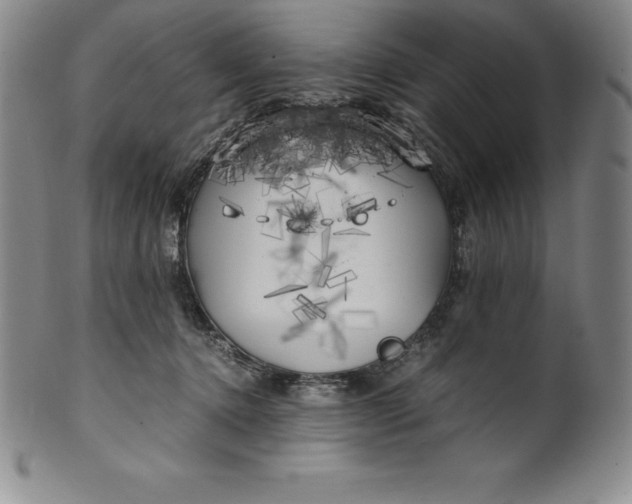 X0000100490368200806271242