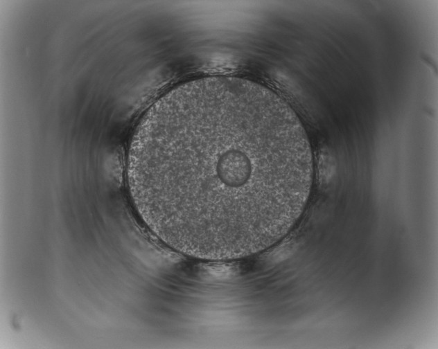 X0000100490370200806271242