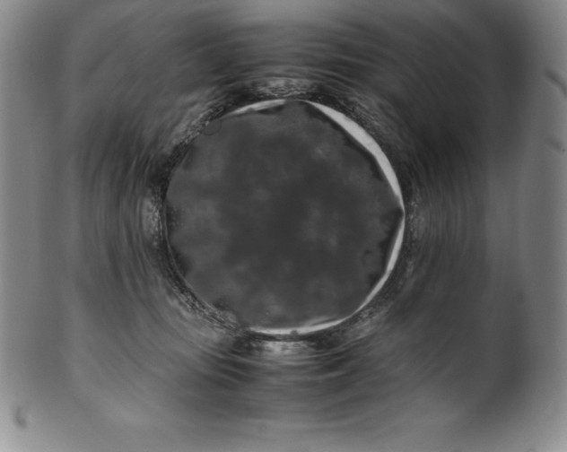 X0000100490371200806271242