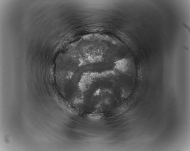 X0000100490373200806271242