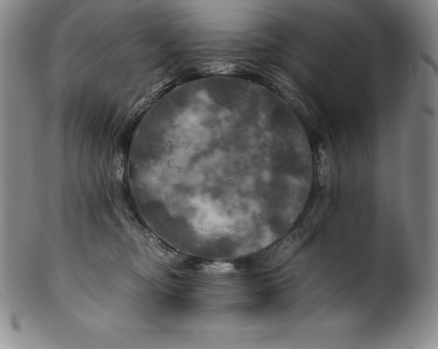 X0000100490374200806271242