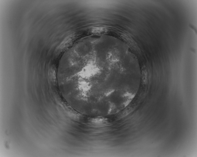 X0000100490375200806271242