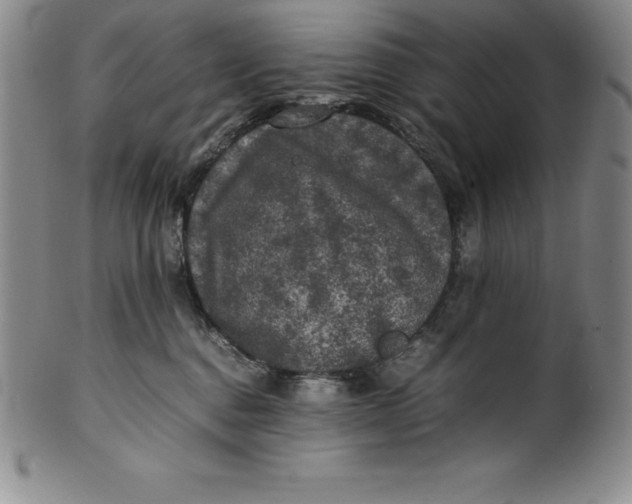 X0000100490376200806271242