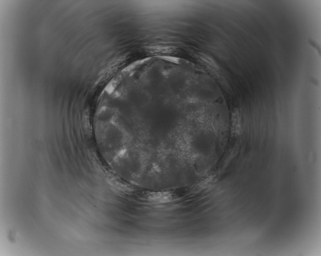 X0000100490377200806271242