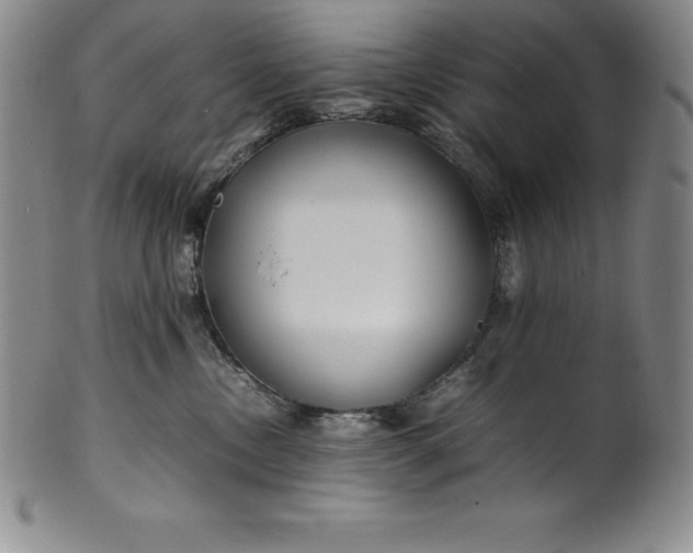 X0000100490378200806271242