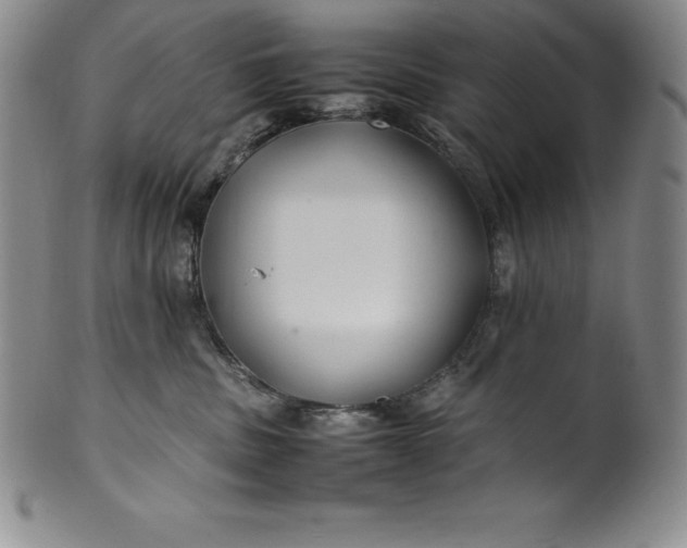 X0000100490379200806271242