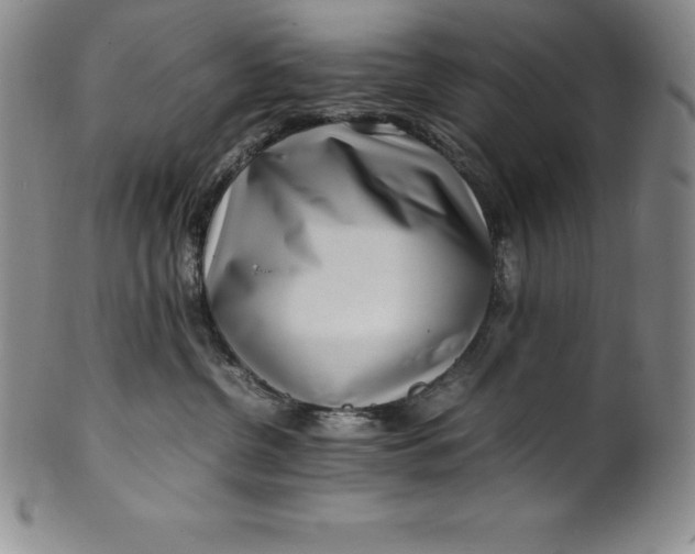 X0000100490380200806271242