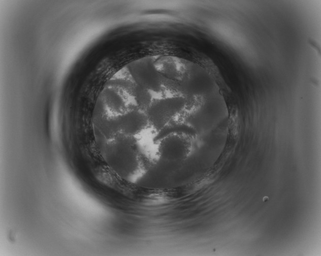 X0000100490381200806271242