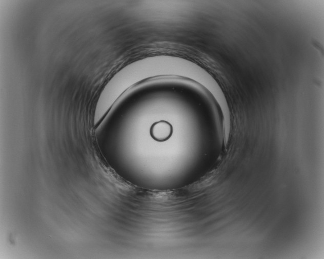 X0000100490382200806271242