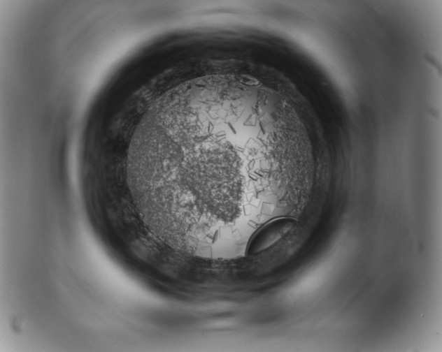 X0000100490383200806271242