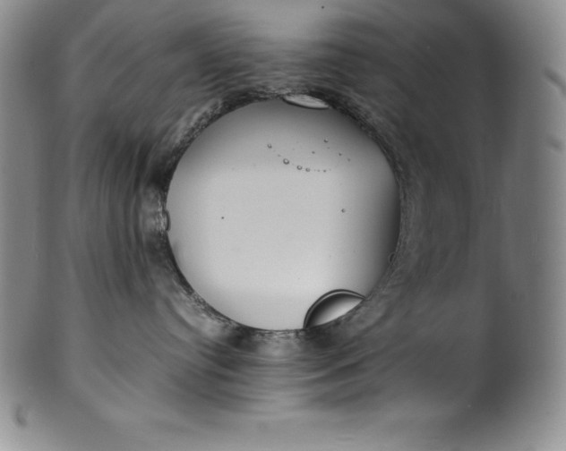 X0000100490384200806271242