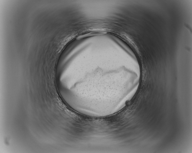 X0000100490385200806271242