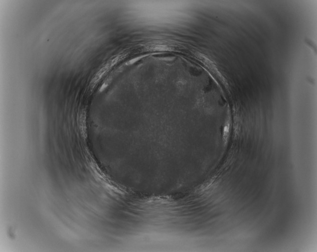 X0000100490386200806271242