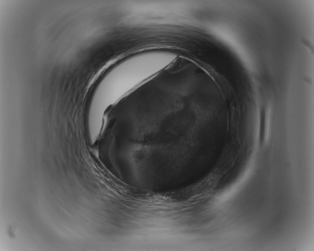 X0000100490387200806271242