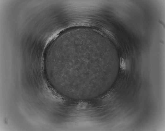 X0000100490388200806271242