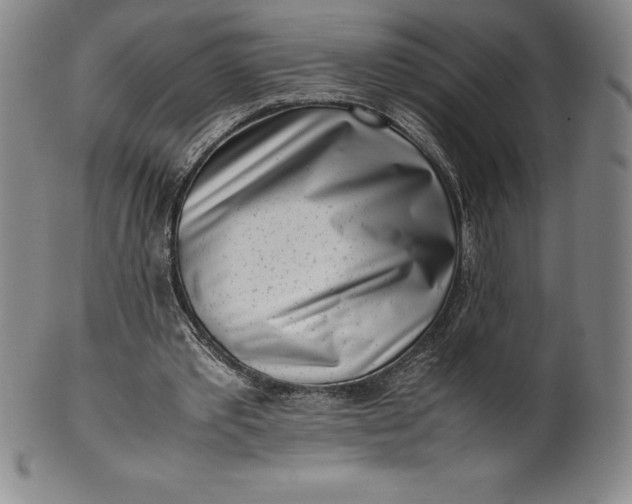 X0000100490389200806271242