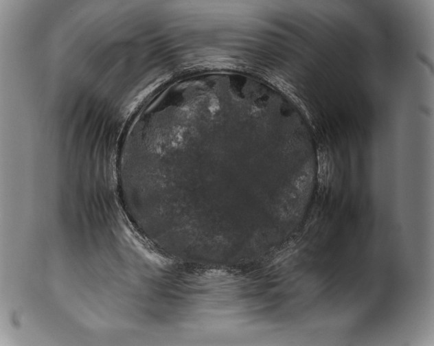 X0000100490390200806271242