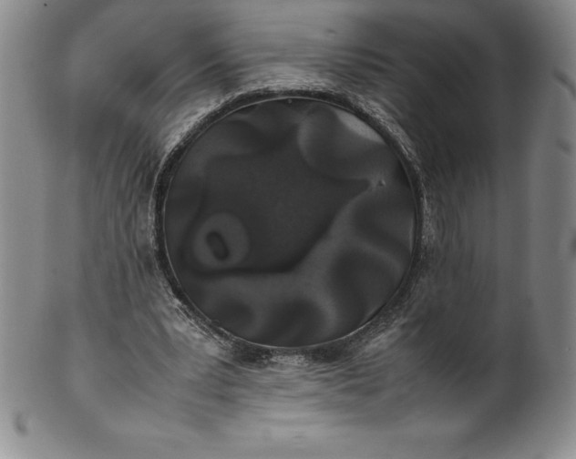 X0000100490391200806271242