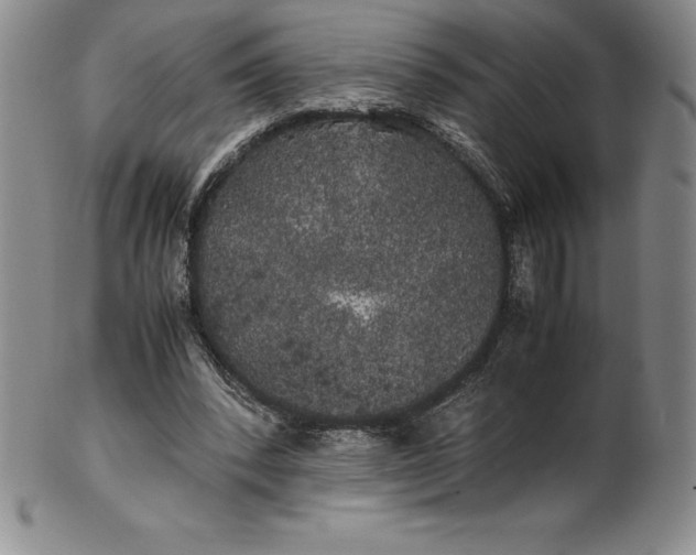 X0000100490392200806271242