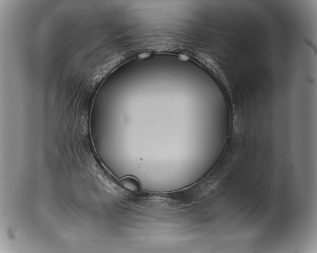 X0000100490393200806271242