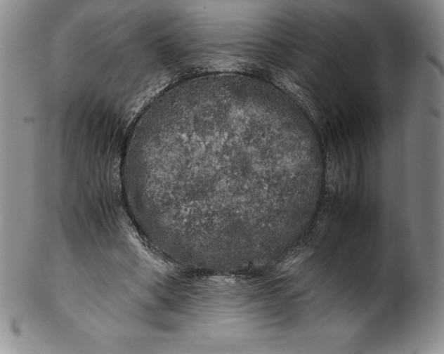 X0000100490394200806271242