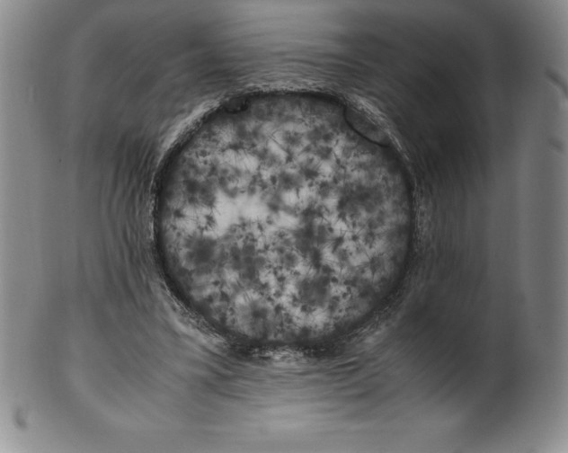 X0000100490395200806271242