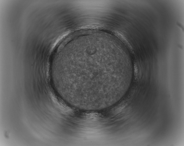 X0000100490396200806271242