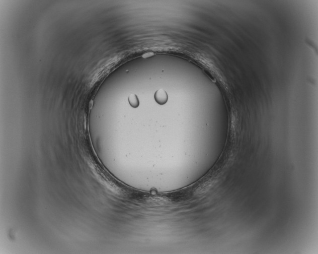 X0000100490397200806271242