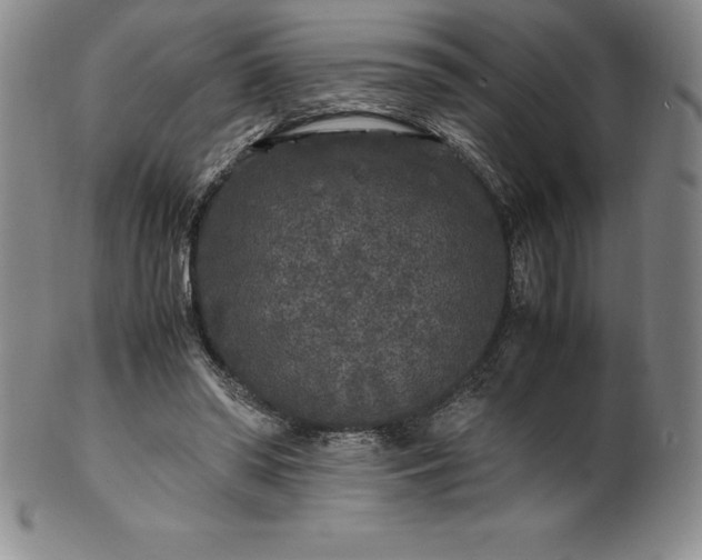 X0000100490398200806271242