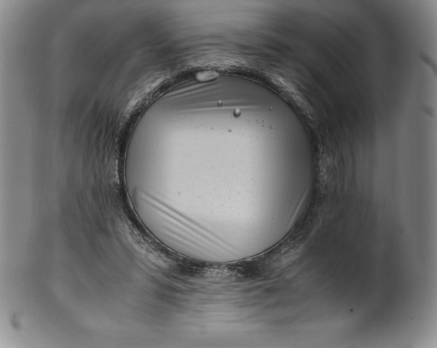 X0000100490399200806271242