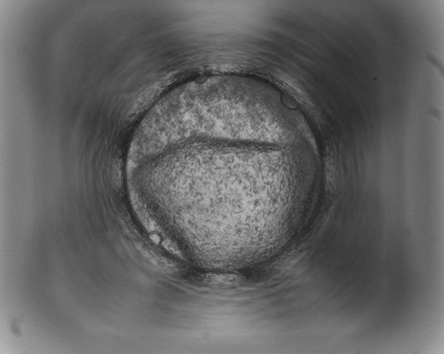 X0000100490401200806271242