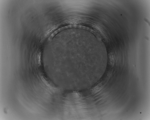 X0000100490404200806271241