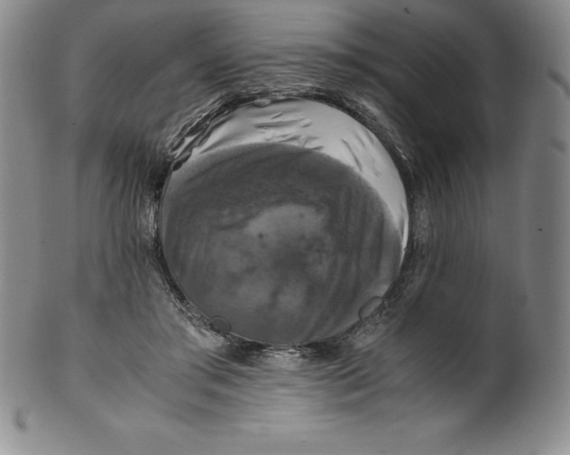 X0000100490405200806271241