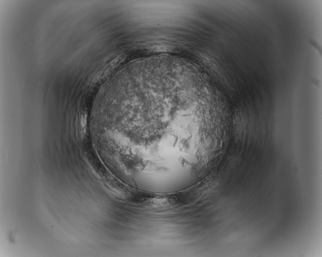 X0000100490406200806271241