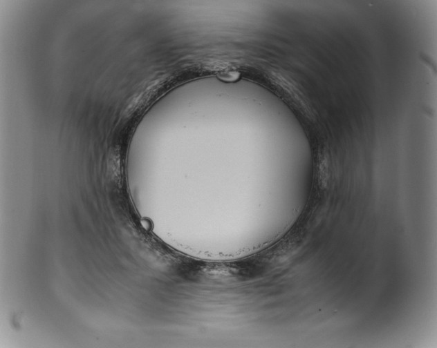 X0000100490407200806271241