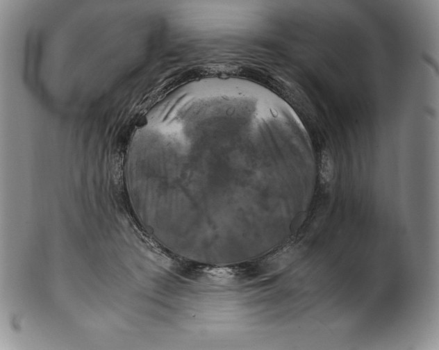 X0000100490409200806271241