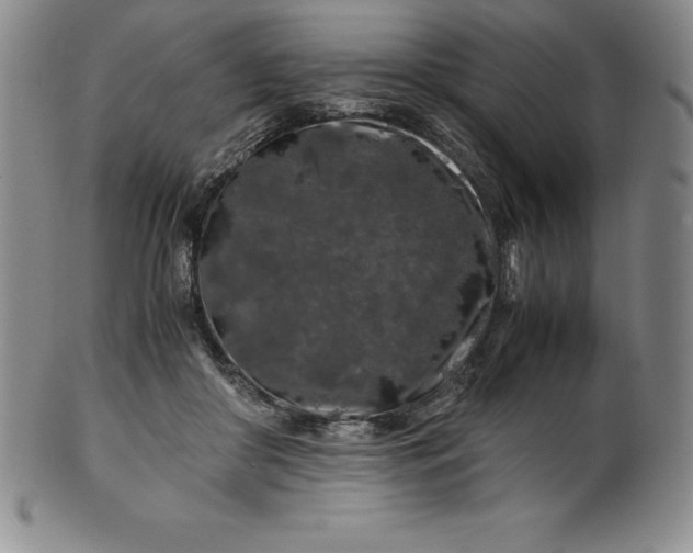 X0000100490410200806271241